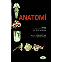 Anatomi / Hacettepe