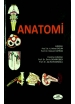 Anatomi / Hacettepe