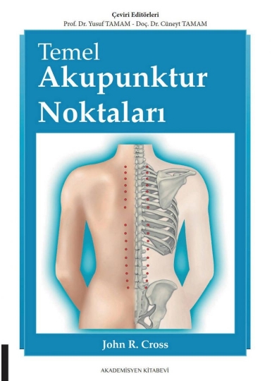 Temel Akupunktur Noktaları