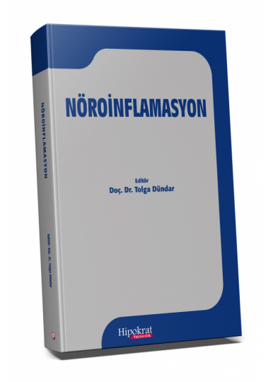Nöroinflamasyon