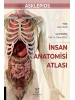 İnsan Anatomisi Atlası