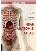 İnsan Anatomisi Atlası