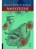 Kulak Burun Boğaz Anestezisi
