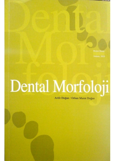 Dental Morfoloji