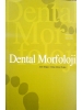 Dental Morfoloji