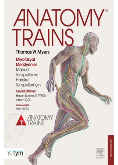 Anatomy Trains