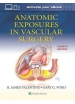  Anatomic Exposures in Vascular Surgery