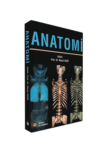 ANATOMİ
