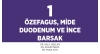 Bölüm 1. Özefagus, Mide Duodenum ve İnce Barsak