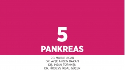 Bölüm 5: Pankreas