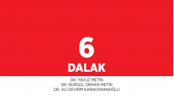 Bölüm 6: Dalak