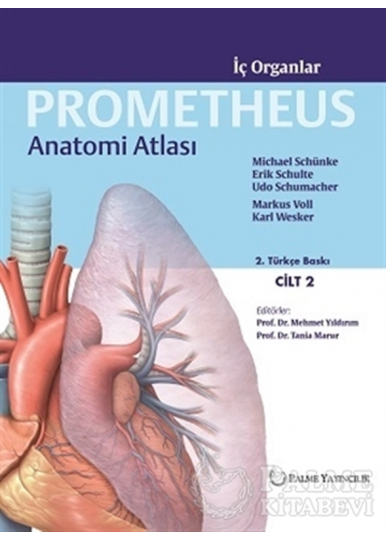 Prometheus Anatomi Atlası 2. Cilt