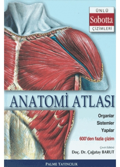 Anatomi Atlası (Sobotta Çizimleri)