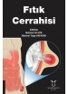 Fıtık Cerrahisi