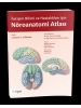 İletişim Bilimi ve Bozuklukları için Nöroanatomi Atlası