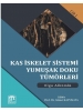 Kas İskelet Sistemi Yumuşak Doku Tümörleri Olgu Albümlü Cilt 1