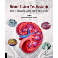 Üriner Sistem Taş Hastalığı: Tanı ve Tedavide Güncel Pratik Yaklaşımlar