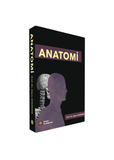 ANATOMİ