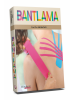Bantlama