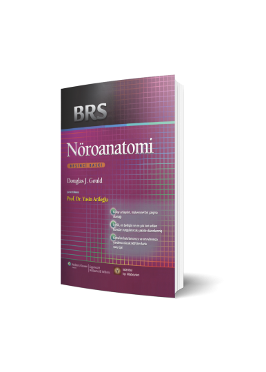 BRS NÖROANATOMİ