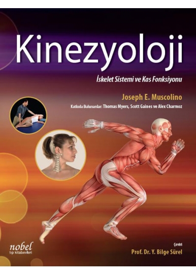 Kinezyoloji: İskelet Sistemi ve Kas Fonksiyonu