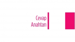 Meme Radyolojisi İnceleme Teknikleri Cevap Anahtarı