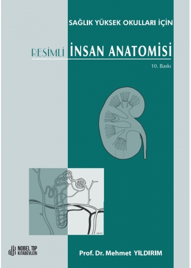 Sağlık Yüksek Okulları için Resimli İnsan Anatomisi