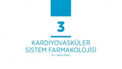 Temel Farmakoloji Bölüm 3 Cevaplar