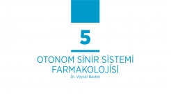 Temel Farmakoloji Bölüm 5 Cevaplar