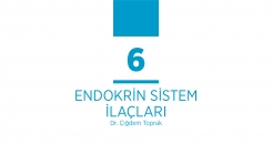 Temel Farmakoloji Bölüm 6 Cevaplar