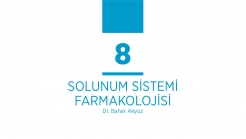 Temel Farmakoloji Bölüm 8 Cevaplar