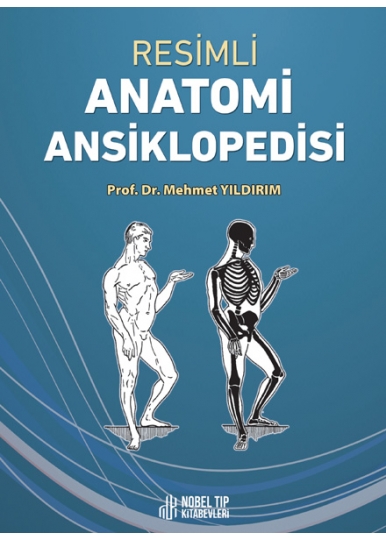 Resimli Anatomi Ansiklopedisi