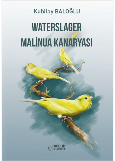 Waterslager Malinua Kanaryası: Ötümü-Bakımı-Eğitimi-Beslenmesi ve Hastalıkları