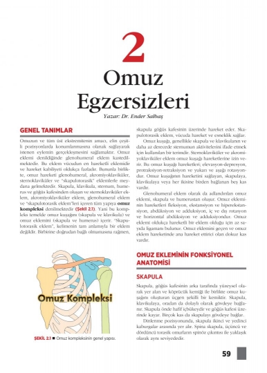 Bölüm 2: Omuz  Egzersizleri