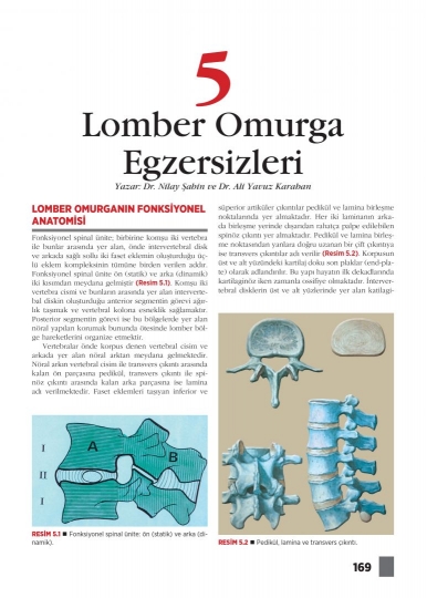 Bölüm 5: Lomber Omurga Egzersizleri