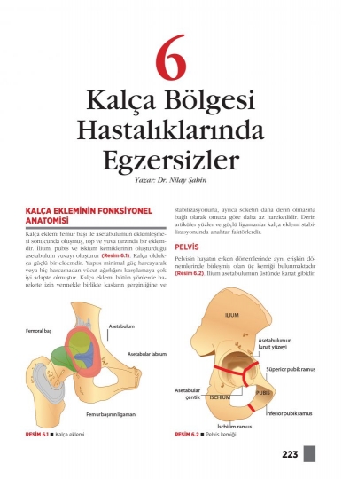 Bölüm 6: Kalça Bölgesi Hastalıklarında Egzersizler
