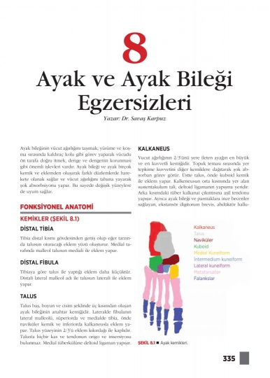 Bölüm 8: Ayak ve Ayak Bileği Egzersizleri