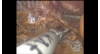 Video 13-19