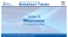 Video 8: Neuronox
