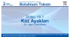 Video 18.1: Kaz Ayakları