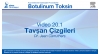 Video 20-1: Tavşan Çizgileri