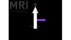 Animation 1.2 (NMV and Coil)