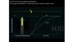 Animation 3.3 Inversion Recovery