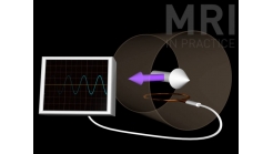 Animation 1.3 (NMV Coil and Oscilloscope)