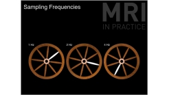 Animation 6.2. (Sampling Frequencies)