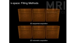 Animation 6.3 (Filling Methods)