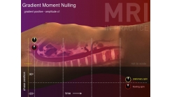 Animation 8.4 (Gradient Moment Nulling)