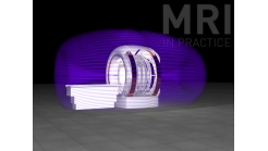 Animation 9.2 (Active Shielding)