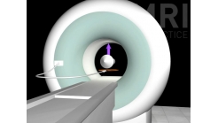 Animation 9.3 (NMV Coil and Scanner Loop)