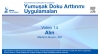 Video 14: Alın